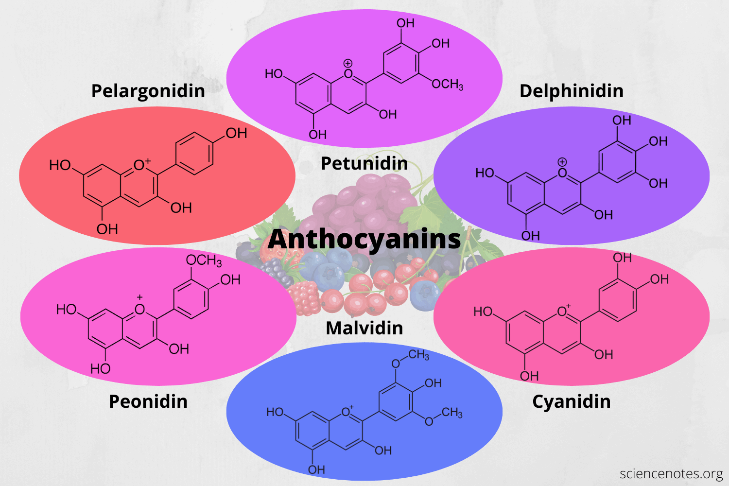 Anthocyanins